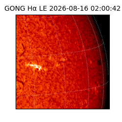 gong - 2026-08-16T02:00:42
