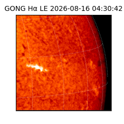 gong - 2026-08-16T04:30:42