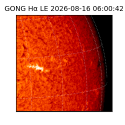 gong - 2026-08-16T06:00:42