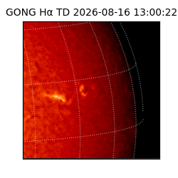 gong - 2026-08-16T13:00:22