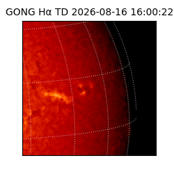 gong - 2026-08-16T16:00:22