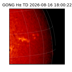 gong - 2026-08-16T18:00:22