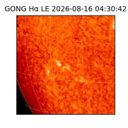 gong - 2026-08-16T04:30:42