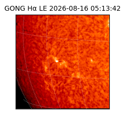 gong - 2026-08-16T05:13:42