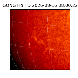 gong - 2026-08-16T08:00:22