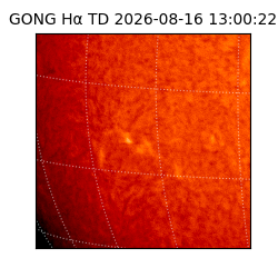 gong - 2026-08-16T13:00:22