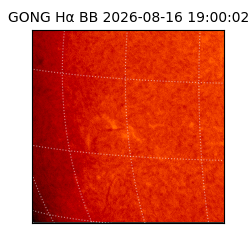 gong - 2026-08-16T19:00:02