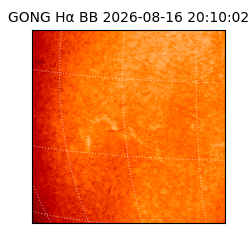 gong - 2026-08-16T20:10:02