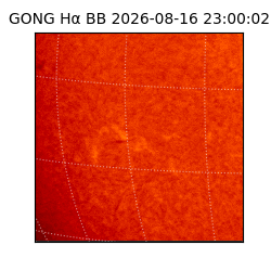 gong - 2026-08-16T23:00:02