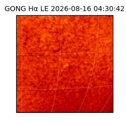 gong - 2026-08-16T04:30:42