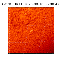 gong - 2026-08-16T06:00:42