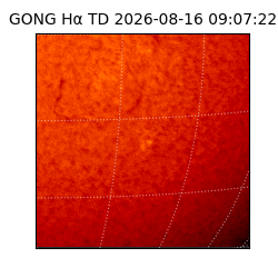 gong - 2026-08-16T09:07:22