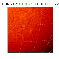 gong - 2026-08-16T12:00:22