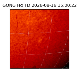 gong - 2026-08-16T15:00:22