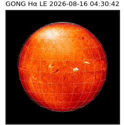 gong - 2026-08-16T04:30:42