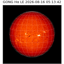 gong - 2026-08-16T05:13:42