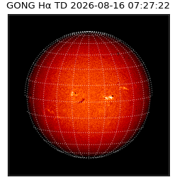 gong - 2026-08-16T07:27:22