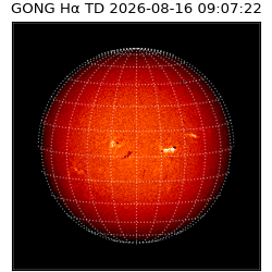 gong - 2026-08-16T09:07:22
