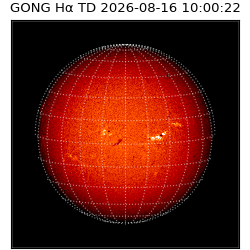 gong - 2026-08-16T10:00:22