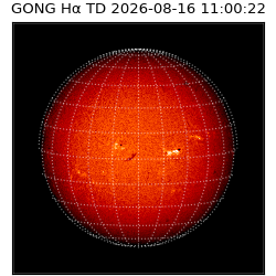 gong - 2026-08-16T11:00:22
