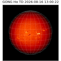 gong - 2026-08-16T13:00:22