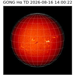 gong - 2026-08-16T14:00:22