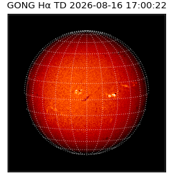 gong - 2026-08-16T17:00:22