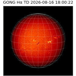 gong - 2026-08-16T18:00:22