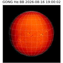 gong - 2026-08-16T19:00:02