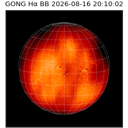 gong - 2026-08-16T20:10:02