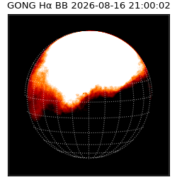 gong - 2026-08-16T21:00:02