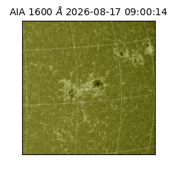 saia - 2026-08-17T09:00:14.123000