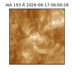saia - 2026-08-17T06:00:28.842000