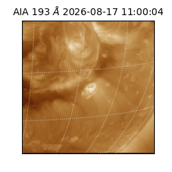 saia - 2026-08-17T11:00:04.842000