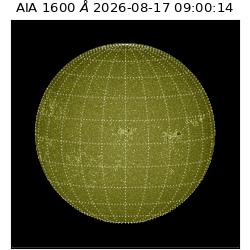 saia - 2026-08-17T09:00:14.123000