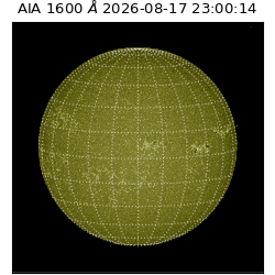 saia - 2026-08-17T23:00:14.124000