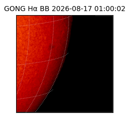 gong - 2026-08-17T01:00:02
