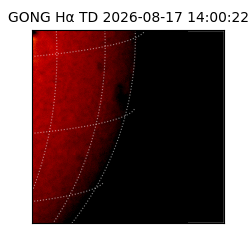 gong - 2026-08-17T14:00:22