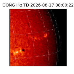 gong - 2026-08-17T08:00:22