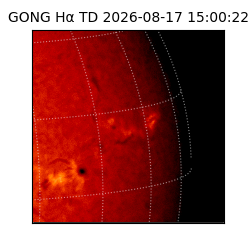 gong - 2026-08-17T15:00:22