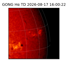gong - 2026-08-17T16:00:22