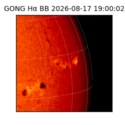 gong - 2026-08-17T19:00:02
