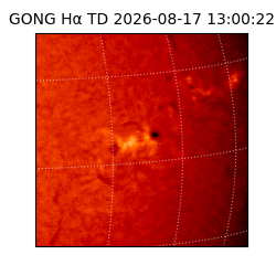 gong - 2026-08-17T13:00:22