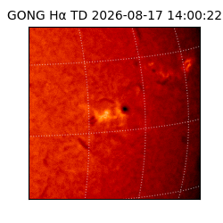 gong - 2026-08-17T14:00:22