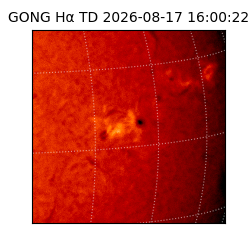 gong - 2026-08-17T16:00:22