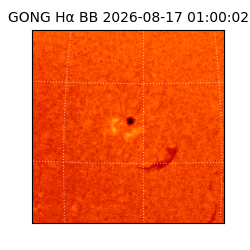 gong - 2026-08-17T01:00:02