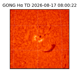 gong - 2026-08-17T08:00:22