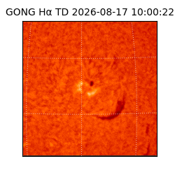gong - 2026-08-17T10:00:22