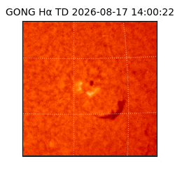 gong - 2026-08-17T14:00:22