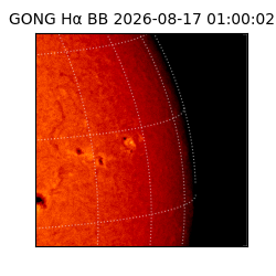 gong - 2026-08-17T01:00:02
